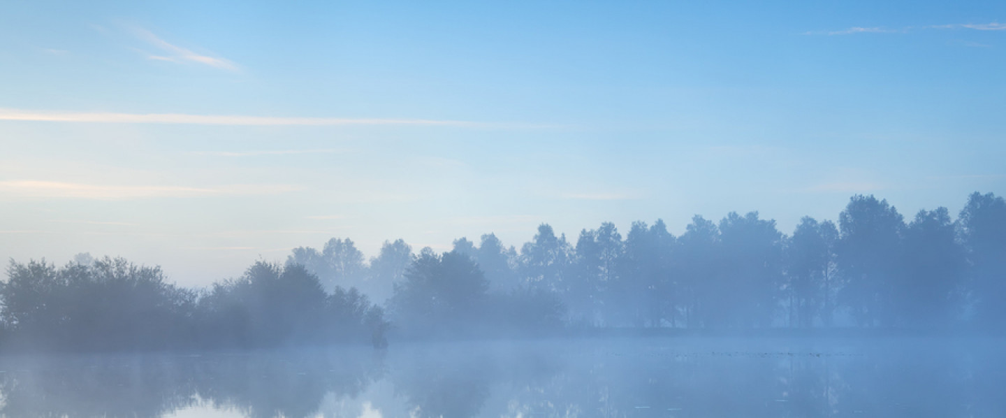 Scales Pointe Camping & Boating Bobbers Grill Scales Pointe Marina