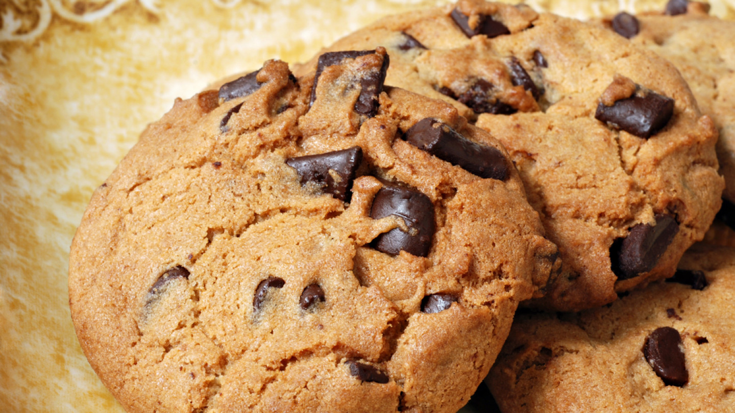 Menu Scales Pointe Camping & Boating Bobbers Grill Scales Pointe